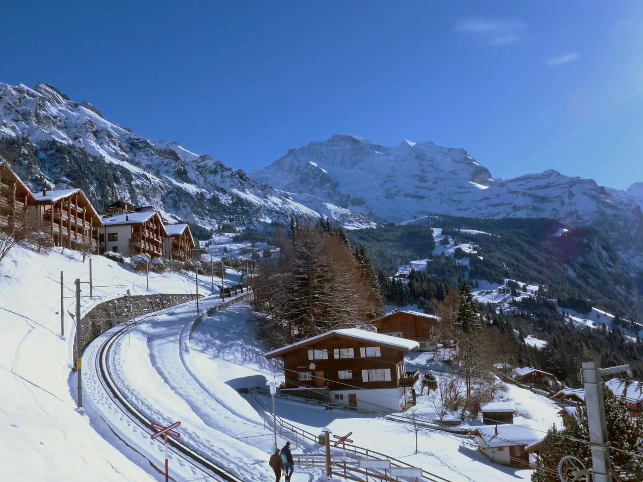 Studio Krokus By Interhome Apartment Wengen